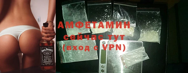 гидра Медвежьегорск
