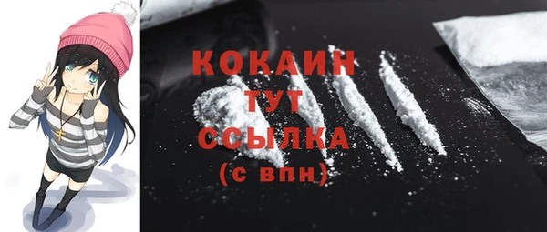 гидра Медвежьегорск