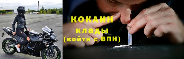 гидра Медвежьегорск