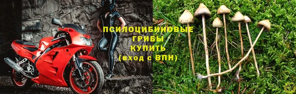 а пвп мука Мегион