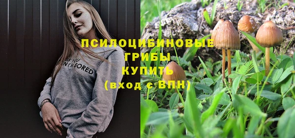mdma Медногорск