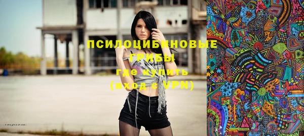 гидра Медвежьегорск
