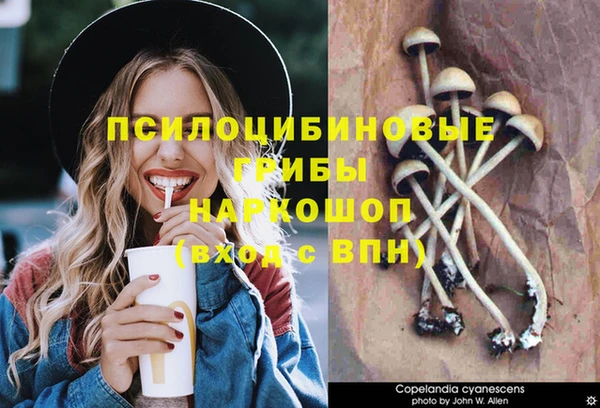 дмт Майский