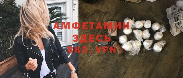 гидра Медвежьегорск